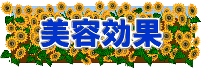 日本拳法　武道　空手　格闘技　総合格闘技　少林寺拳法　日本拳法先生　武道師範　日本拳法師範　柔道　合気道　日本拳法講武会館大学校　講武会館日本拳法学校